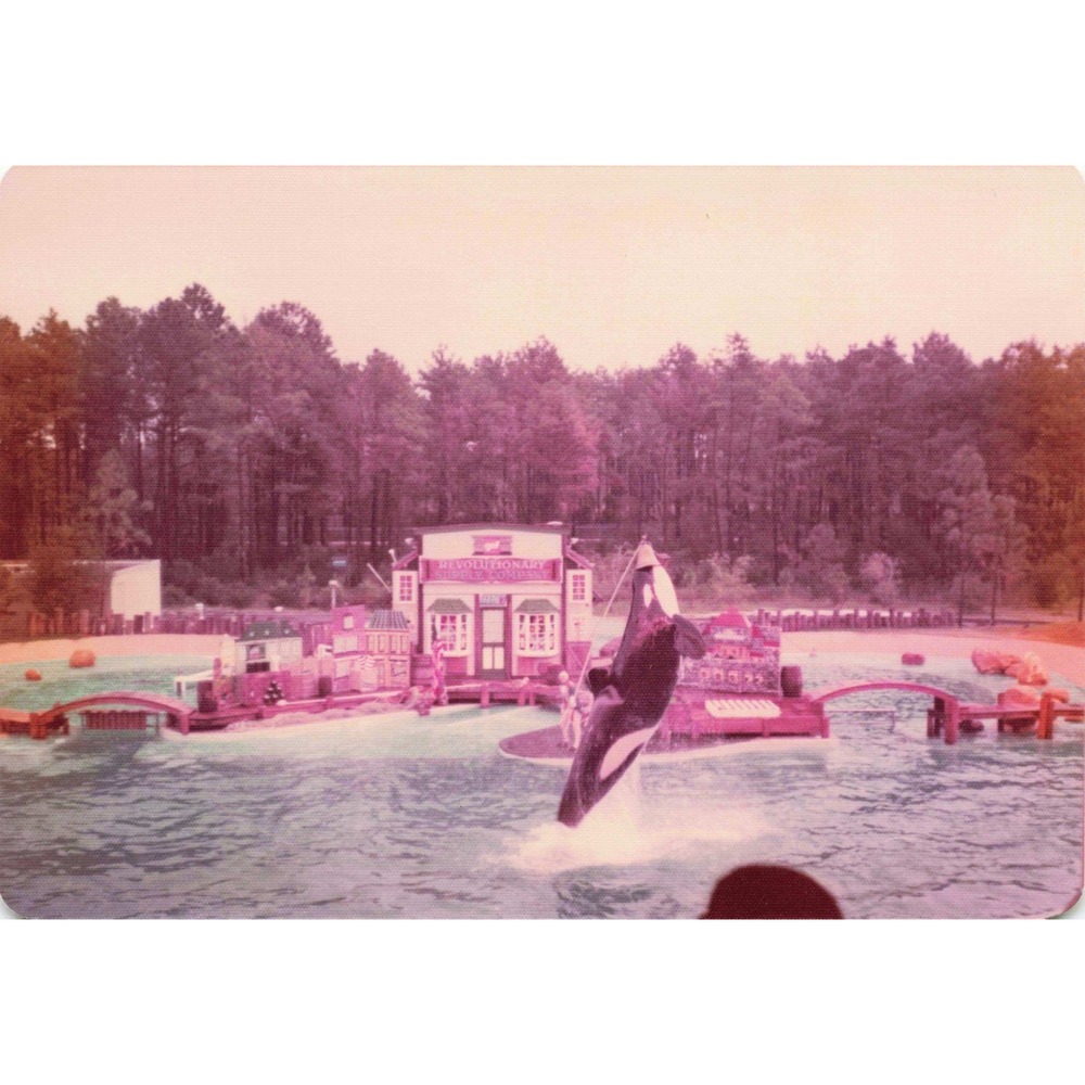 Vintage 1970s Six Flags Great Adventure Orca Water-Ski Show Photo Lot of 11 - Picture 10 of 11